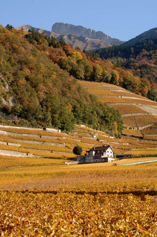 Yvorne, Val di Rhône, Cantone Vaud