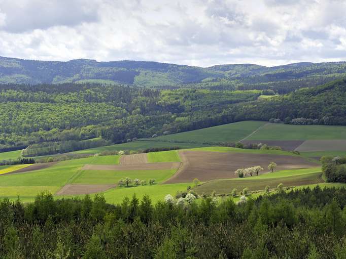 Parco naturale Landseer Berge