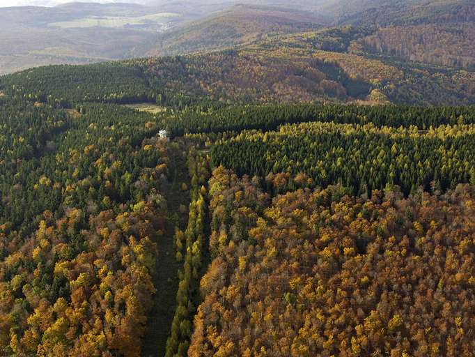 Parco naturale Geschriebenstein, bosco