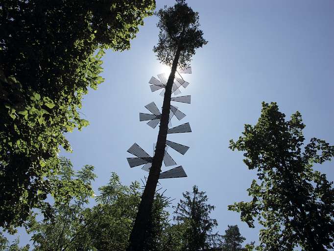 Schlosspark Ferlach - Landartprojekt "Steps to heaven"