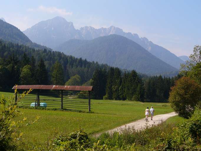 Wald Colrotondo und Breitkofel (1.988m) in den Julischen Alpen