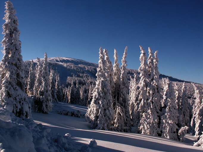 Winterlandschaft