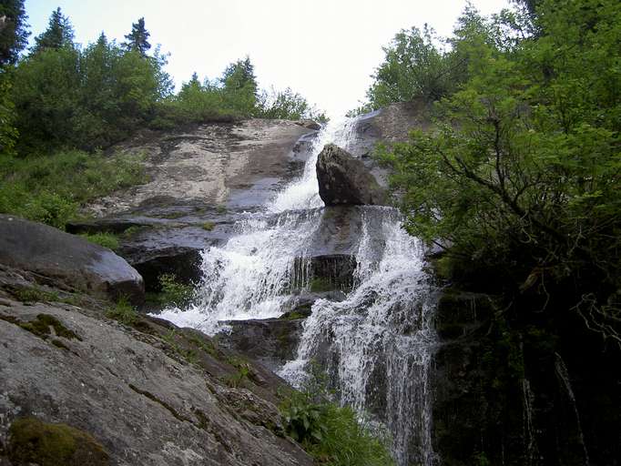 Cascade Poms