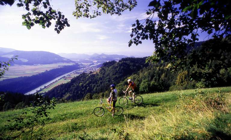 View over the river Drau