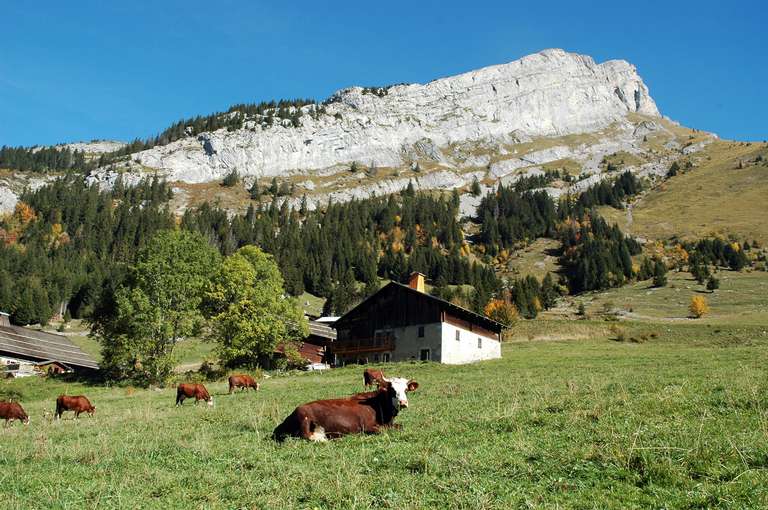 Nahe La Clusaz in der Chaîne des Aravis