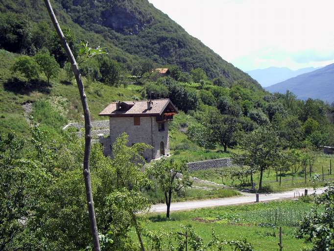 Obstanbau im Ledrotal