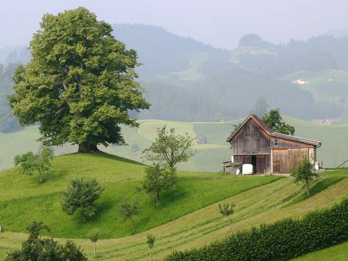 Idillio rurale nel Appenzeller Land