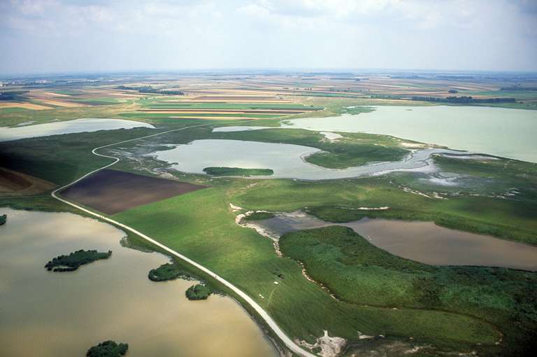 Lake Neusiedl