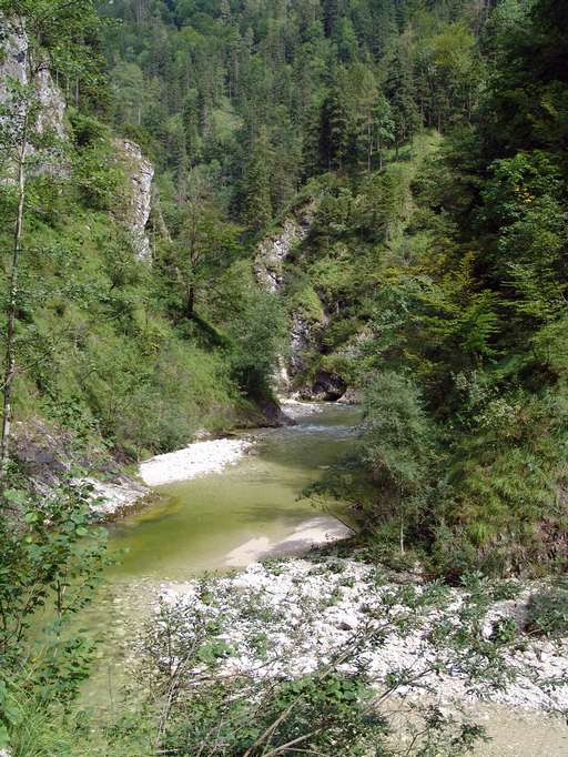 Big Stream,  Reichraminger Hintermountains 