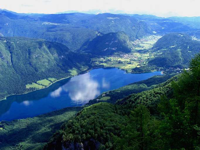 See von Bohinjski