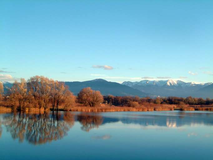 Schleieinloch near Hard, Nature Reserve Rheindelta 