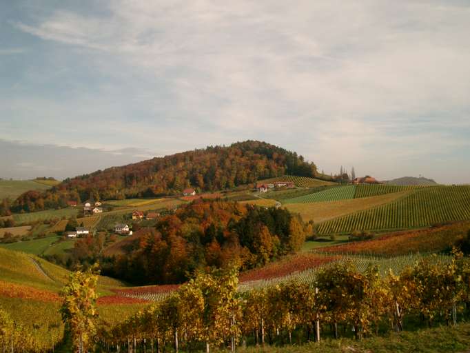 Lungo la Strada del Vino nella Stiria del Sud