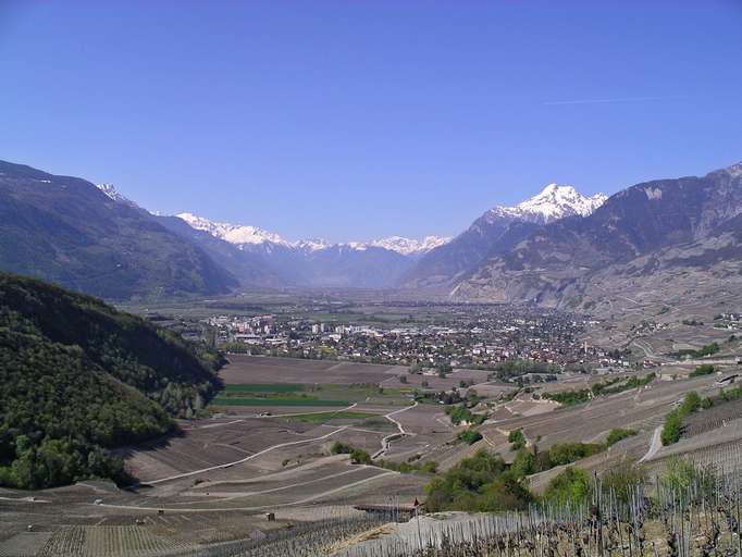 Plaine du Rhône