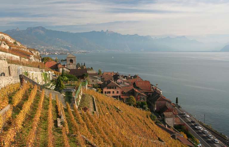 Saint Saphorin, Lago Lemano