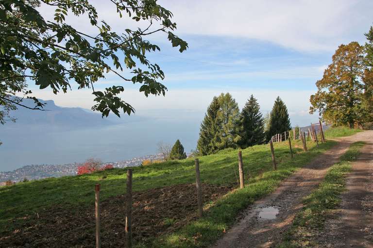 Blick auf die Gemeinde Montreux am Genfer See