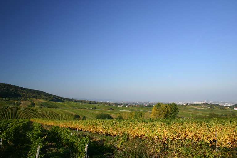 View from Perchtoldsdorf to Vienna