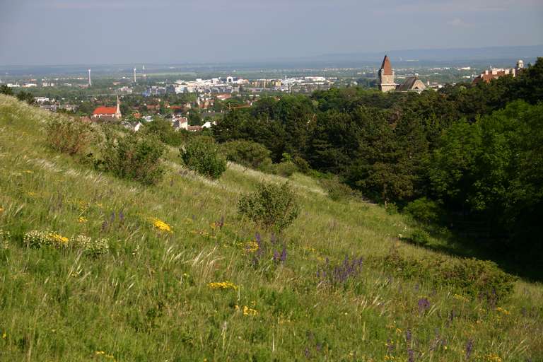 Perchtoldsdorfer Heath, Wiener Basin, Leithamountains