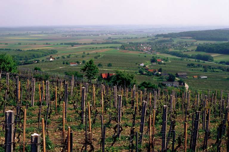 Eisenberg (415m), Valle Pinkatal