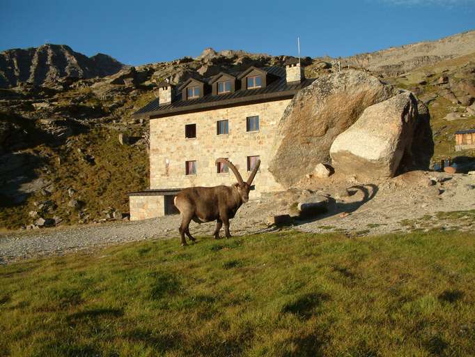 Rifugio Chabod (2.720m) am Gran Paradiso (4.061m)