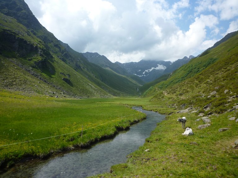 Talboden des Fotschertales im Bereich Hintra Alm