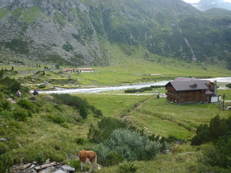 en:Alpenrosenhütte (1878m) und Waxegg Alm im Zemmgrund