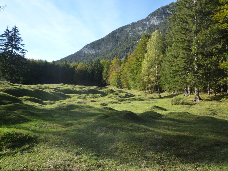 en:Buckelwiesen am Eingang zum Karwendeltal