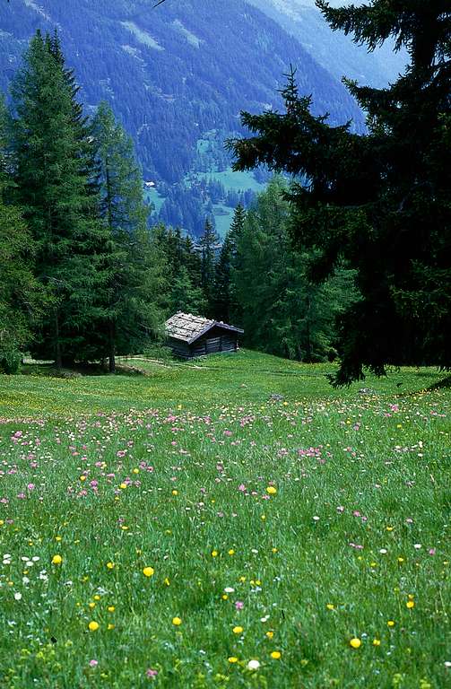 Landschaft bei Gries am Brenner