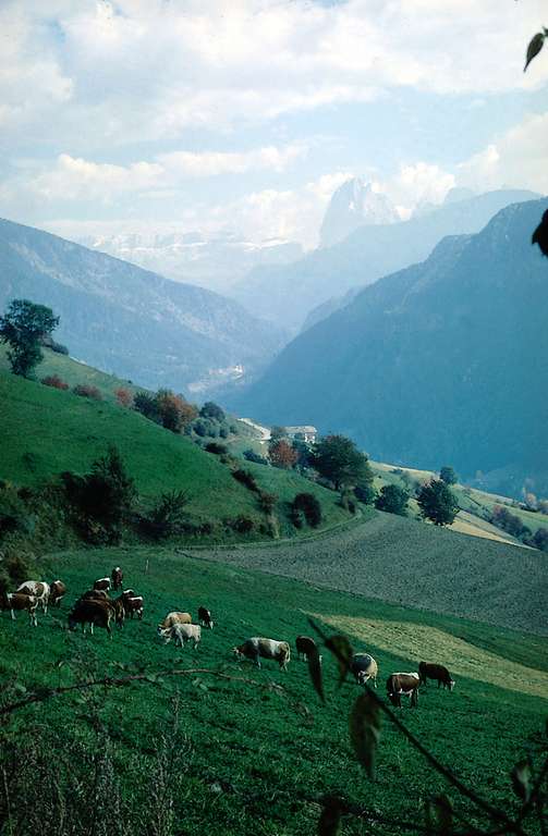 Laion, Val Gardena