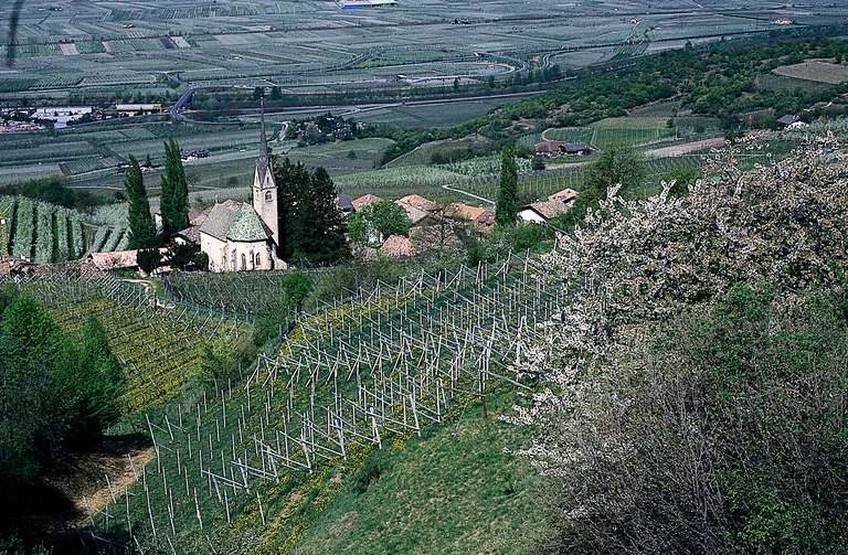 Pinzon, Montan