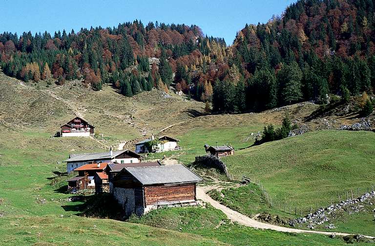 Alp in Scheffau 