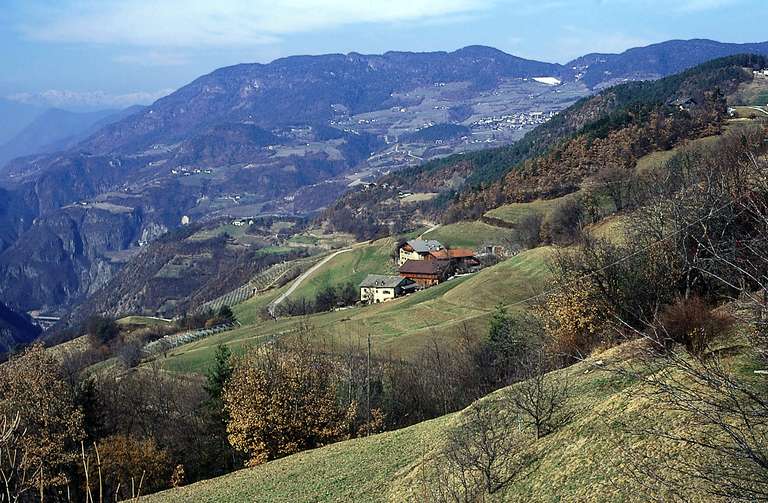 Tiers am Rosengarten