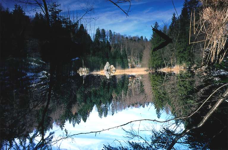 Berglsteiner See