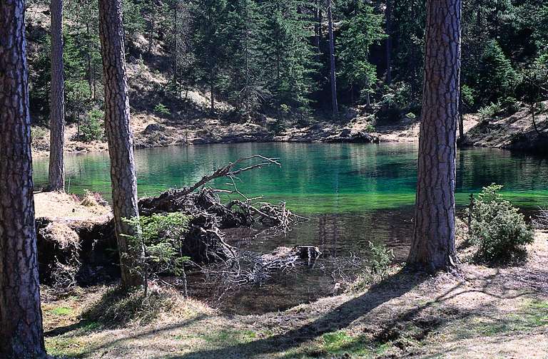 Fernsteinsee