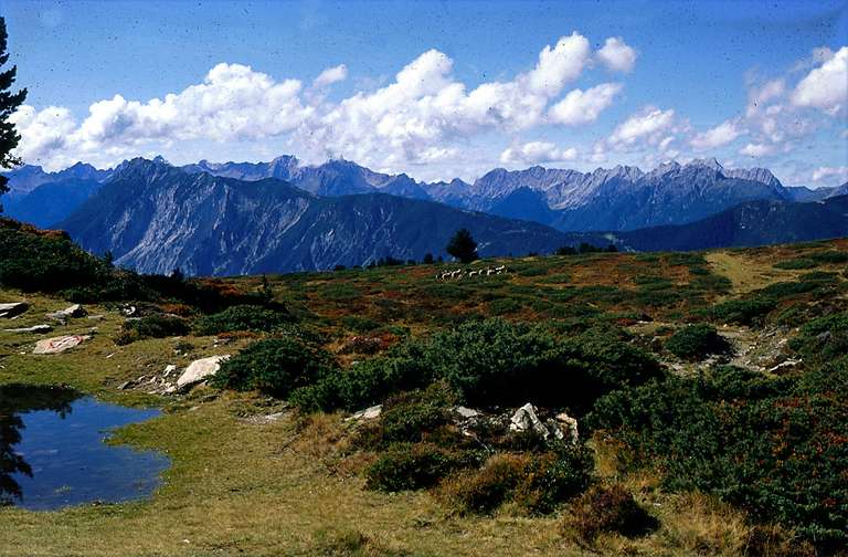 Almboden in den Lechtaler Alpen