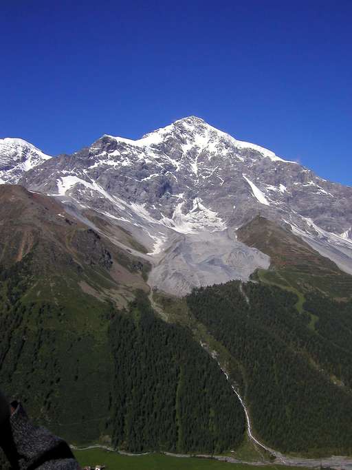 Ortler