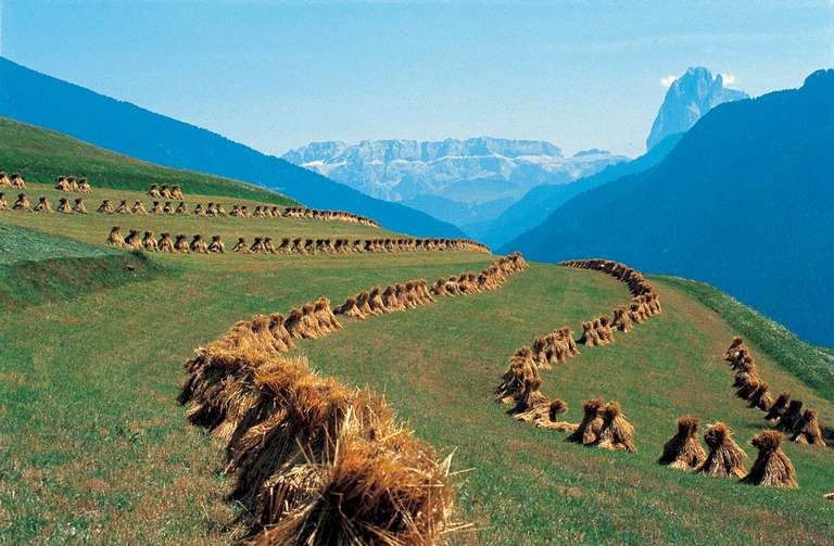 Landwirtschaftliche Nutzung in Gröden 