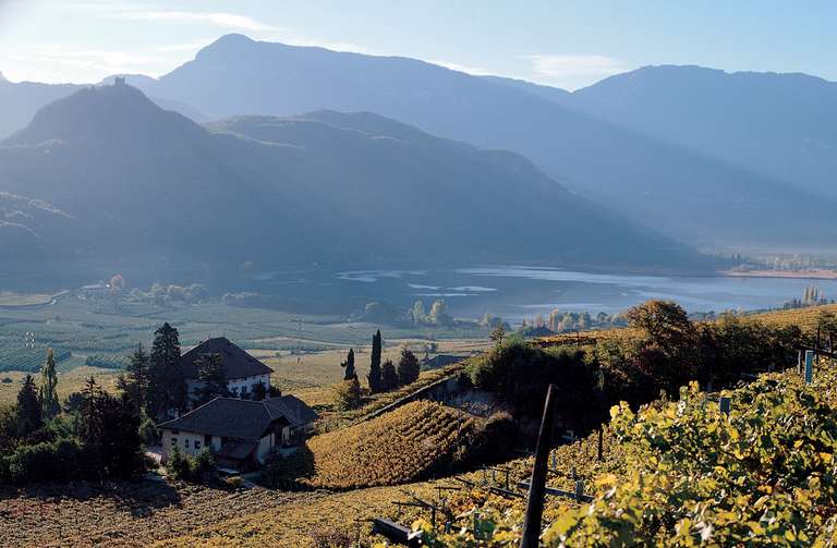 Weinkulturen von Kaltern vor dem Kalterer See