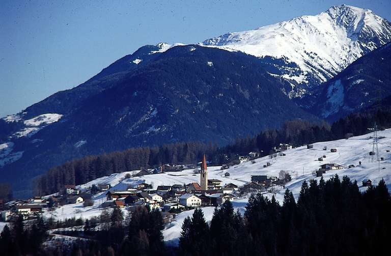 Wald im Pitztal