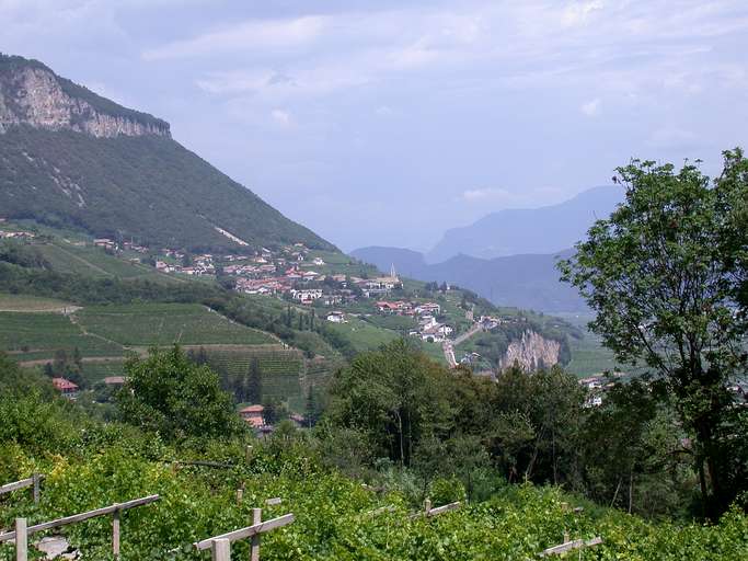 Kurtatsch, viniculture