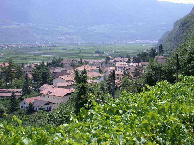 Magrè sulla strada del vino