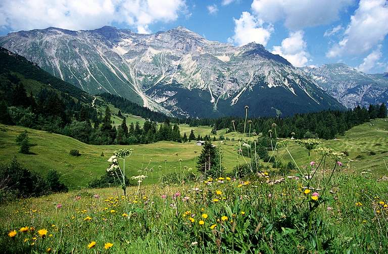 Mountain pasture