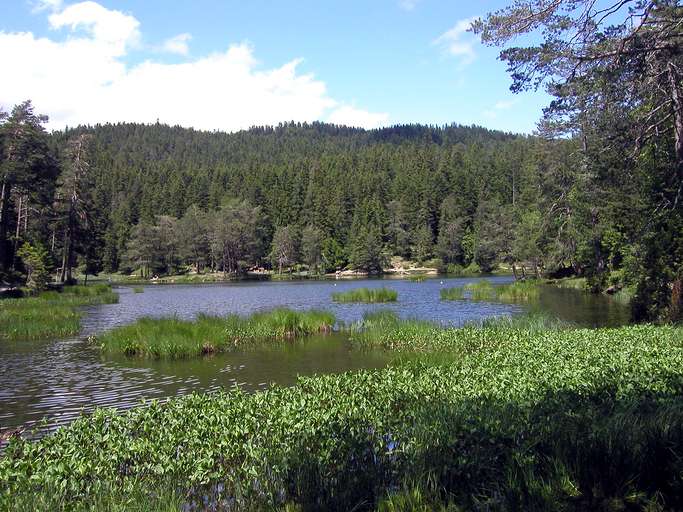 Telfs, Lago di Möserer