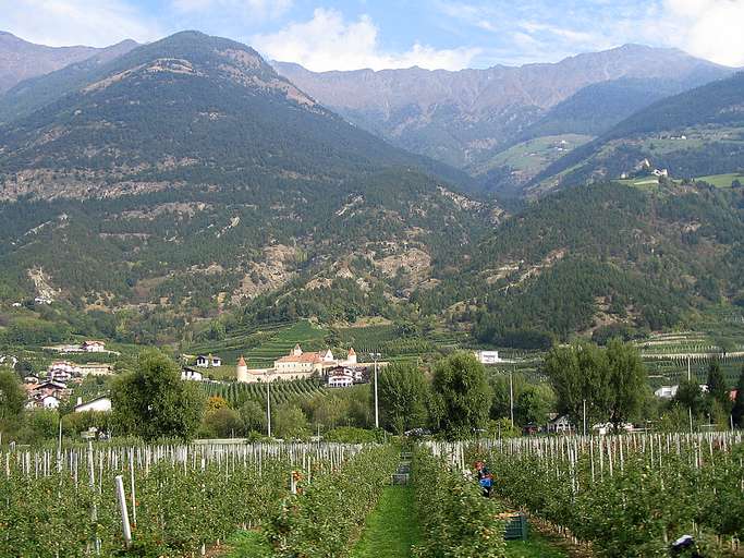 Castel Coldrano dietro le piantagioni di mele