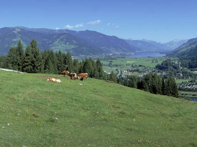 Schmittenhoehe e Zell am See verso Nord