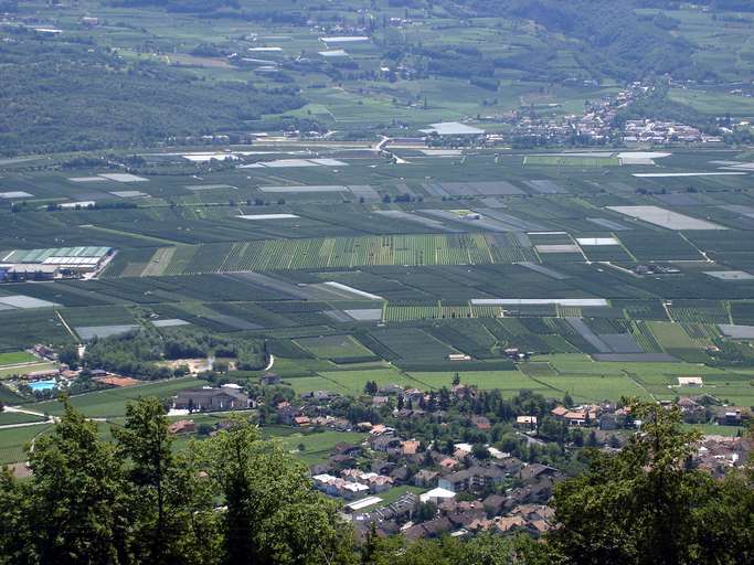 Das Etschtal zwischen Tramin und Neumarkt (Fraktion Vill)