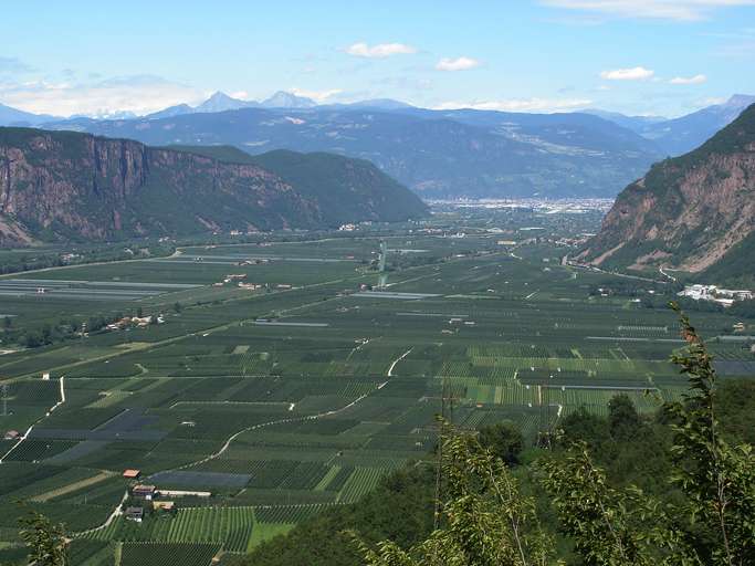 Etschtal zwischen Auer und Bozen