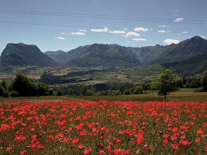 Valle Papaveri