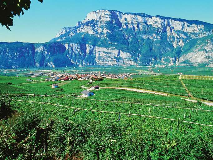 Valle dell' Adige bei Pressano