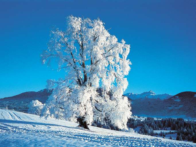 Ammertal in den Ammergauer Alpen