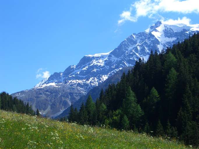 Ortler (3905 m)